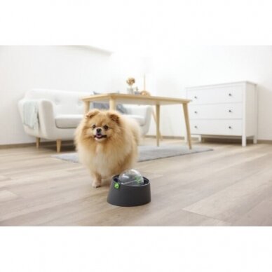 Multi-feeder base for dogs with multifunctional application 23