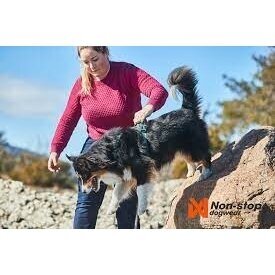 Non-Stop  RAMBLE HARNESS dog harness 6