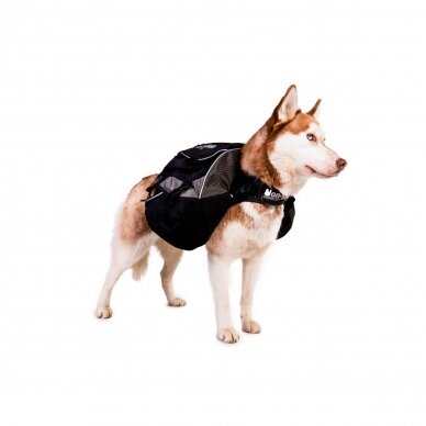 NON- STOP AMUNDSEN PACK  heavy-duty dog backpack 5