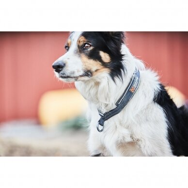 Non-Stop CRUISE COLLAR well-padded dog collar with semi-slip function 3