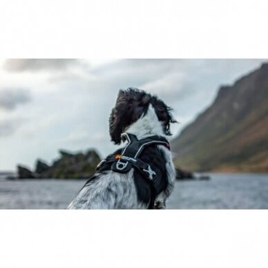 NON-STOP LINE HARNESS 5.0 dog harness  developed for hiking, tracking and everyday activities with your dog. 9