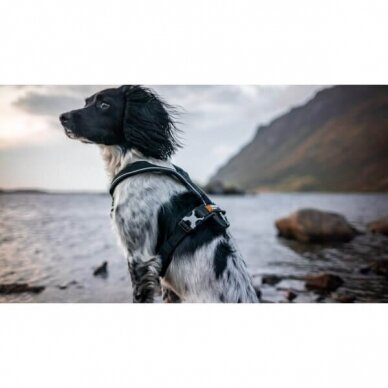 NON-STOP LINE HARNESS 5.0 dog harness  developed for hiking, tracking and everyday activities with your dog. 11