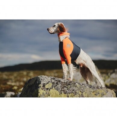 NON - STOP PROTECTOR T-SHIRT for dogs, who need additional protection to take care of the coat and prevent chafin 5