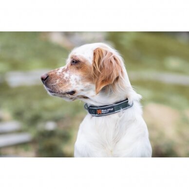 Non-stop dogwear Roam collar is an adjustable collar for dogs with good padding 2