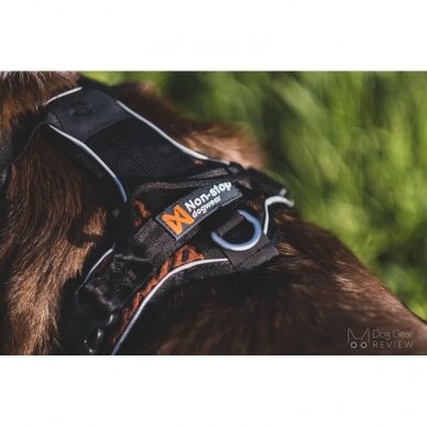 Non-stop ROCK HARNESS a versatile padded harness for dogs, developed for active everyday life 4