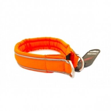 NON- STOP SAFE COLLAR  the safest collar for dogs who roam freely in the forest 1