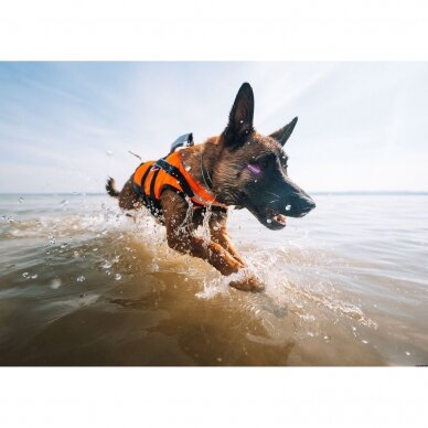 Non-stop dogwear Safe life jacket 2.0 is a life jacket developed for dogs. 2