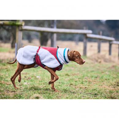 Non-Stop TREKKING FLEECE DOG JACKET a soft and comfortable fleece dog jacket 2