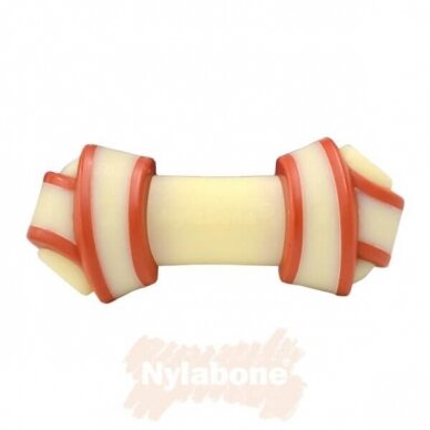 Nylabone Rawhide Knot Bone kramtymo žaislas šunims 1