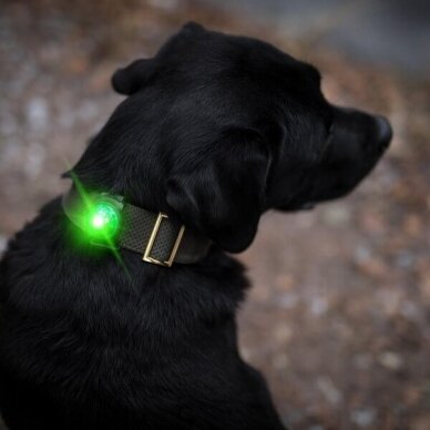 Orbiloc Dog Dual  high quality LED Safety Light for dogs 12