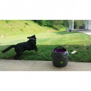 PETSAFE AUTOMATIC BALL LAUNCHER is an automatic, interactive game of fetch for dogs 9