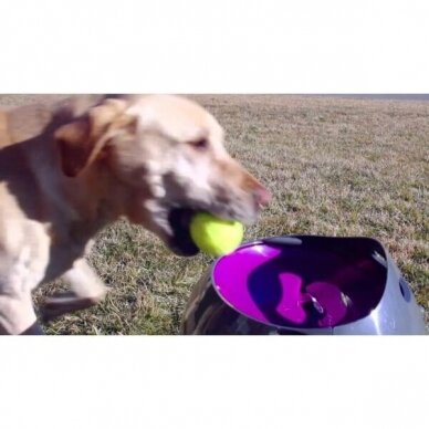 PETSAFE AUTOMATIC BALL LAUNCHER is an automatic, interactive game of fetch for dogs 10