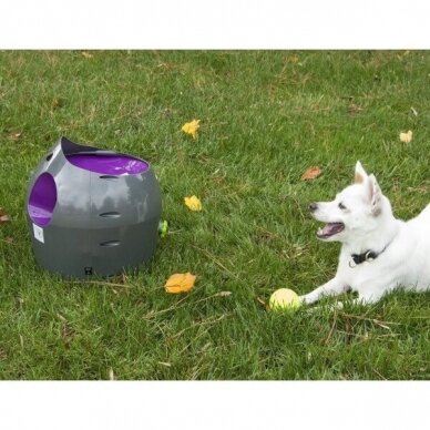 PETSAFE AUTOMATIC BALL LAUNCHER is an automatic, interactive game of fetch for dogs 11