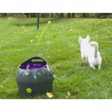 PETSAFE AUTOMATIC BALL LAUNCHER is an automatic, interactive game of fetch for dogs 12