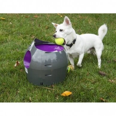 PETSAFE AUTOMATIC BALL LAUNCHER is an automatic, interactive game of fetch for dogs 13