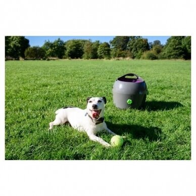 PETSAFE AUTOMATIC BALL LAUNCHER is an automatic, interactive game of fetch for dogs 14
