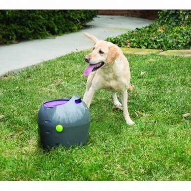 PETSAFE AUTOMATIC BALL LAUNCHER is an automatic, interactive game of fetch for dogs 5
