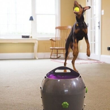 PETSAFE AUTOMATIC BALL LAUNCHER is an automatic, interactive game of fetch for dogs 6