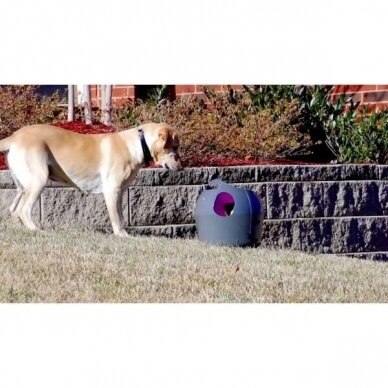 PETSAFE AUTOMATIC BALL LAUNCHER is an automatic, interactive game of fetch for dogs 7