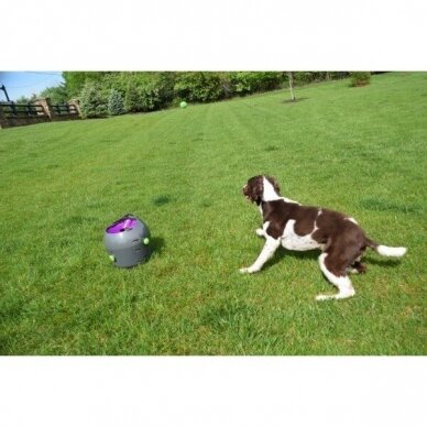 PETSAFE AUTOMATIC BALL LAUNCHER is an automatic, interactive game of fetch for dogs 8