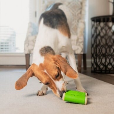 PetSafe® Ribinator Dog Toy žaislas šunims, pripildomas skanėstų 1