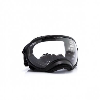 Rex Specs Goggles provide stable, secure eye protection for your dog