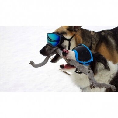 Rex Specs Goggles provide stable, secure eye protection for your dog 7