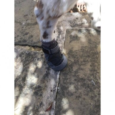 Ruffwear BARK’N BOOT™ DOG SOCKS kojinės šunims 4