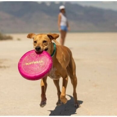 RUFFWEAR CAMP FLYER™ toy  Lightweight, Flexible Flying Disc for dogs 3