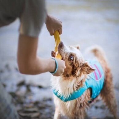 RUFFWEAR GNAWT-A-STICK™ Resilient, Natural Rubber Throw  dog Toy 5