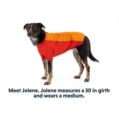 Ruffwear UNDERCOAT™ DOG WATER JACKET atsparus vandeniui paltukas šunims 15