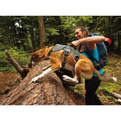 RUFFWEAR WEB MASTER™ HARNESS Secure, Reflective, Multi-Use dog harness 6