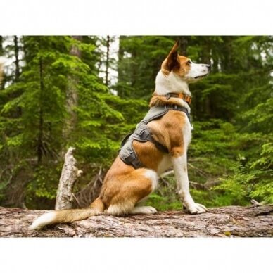 RUFFWEAR WEB MASTER™ HARNESS Secure, Reflective, Multi-Use dog harness 7