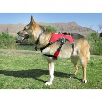 RUFFWEAR WEB MASTER™ HARNESS Secure, Reflective, Multi-Use dog harness 8