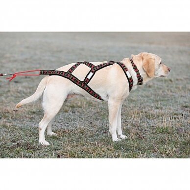 ManMat SLED harness X-back harness for dogs 5