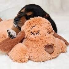 Snuggle Puppy® minkštas žaislas šuniukams su širdelės plakimo efektu 4