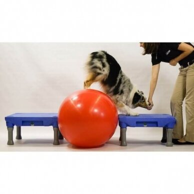 Blue - 9 SPORTS KLIMB™ staliukas šunų dresūrai 8