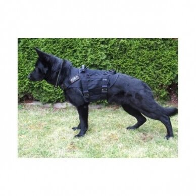 K9THORN TACTICAL HARNESS ON CONSTRUCTION MESH  for dogs everyday use 2