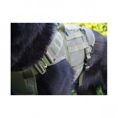 K9THORN TACTICAL HARNESS ON CONSTRUCTION MESH  for dogs everyday use 11