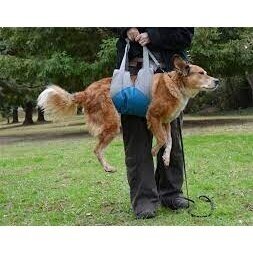 Up & About Dog Lifter  dog harness for an aging dog 2