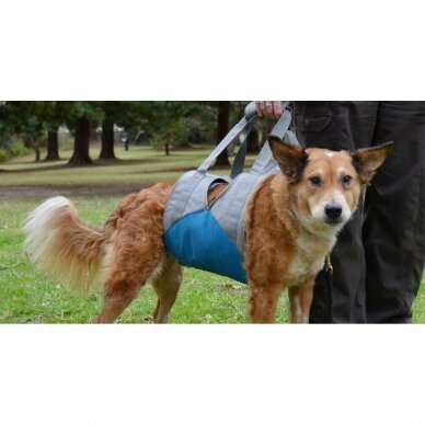 Up & About Dog Lifter  dog harness for an aging dog 3