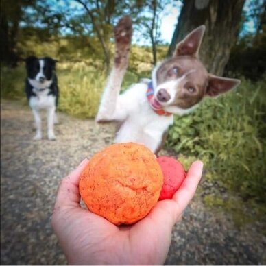 WACKYwalk'r Wunderball handmade dog ball 10
